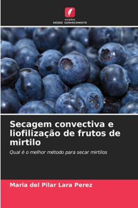 Secagem convectiva e liofilização de frutos de mirtilo