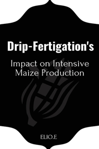 Drip-Fertigation's Impact on Intensive Maize Production