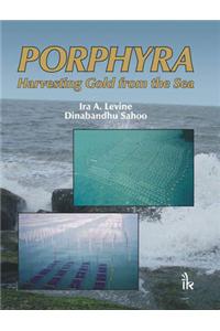 Porphyra