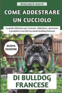 Come Addestrare Un Cucciolo Di Bulldog Francese