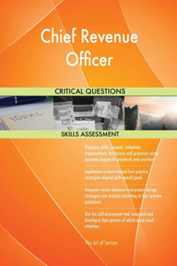Chief Revenue Officer Critical Questions Skills Assessment