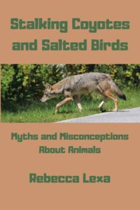 Stalking Coyotes and Salted Birds