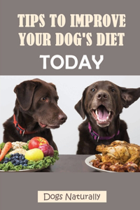 Tips To Improve Your Dog's Diet Today