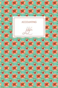 Accounting Ledger