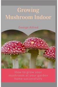 Growing Mushroom Indoor