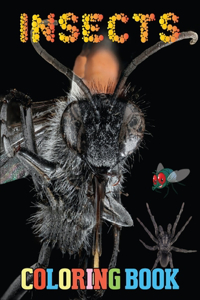 Insect Coloring Book