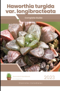 Haworthia turgida var. longibracteata