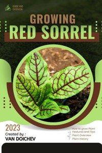 Red Sorrel