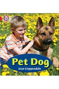 Pet Dog