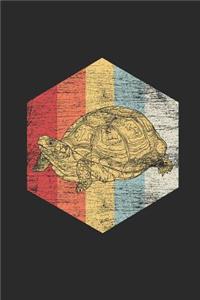 Turtle Polygon