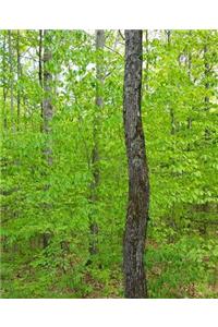 School Composition Book Springtime Forest