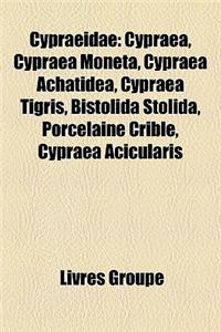 Cypraeidae: Cypraea, Cypraea Moneta, Cypraea Achatidea, Cypraea Tigris, Bistolida Stolida, Porcelaine Crible, Cypraea Acicularis