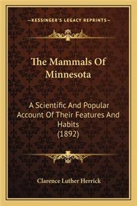 Mammals Of Minnesota