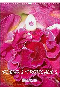 Fleurs Tropicales / Organiseur 2017