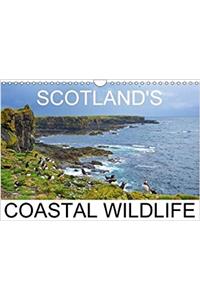 Scottish Coastal Wildlife 2018