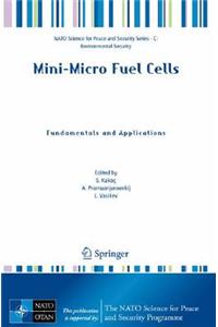 Mini-Micro Fuel Cells