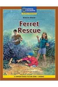 Content-Based Chapter Books Fiction (Science: Wildlife Rescue): Ferret Rescue