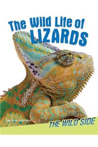 The Wild Life of Lizards