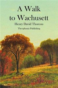 Walk to Wachusett