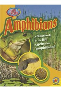 Amphibians
