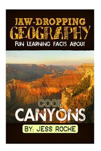 Jaw-Dropping Geography: Fun Learning Facts about Cool Canyons: Illustrated Fun Learning for Kids