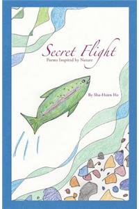 Secret Flight