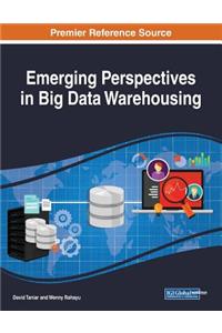 Emerging Perspectives in Big Data Warehousing