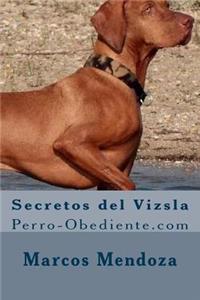 Secretos del Vizsla