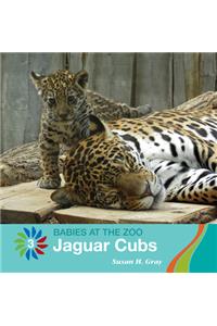 Jaguar Cubs