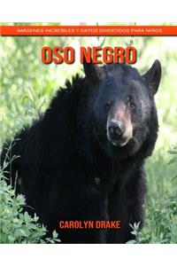 Oso negro