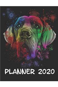 Planner 2020