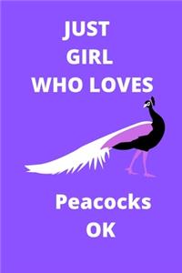 just girl who loves peacocks OK sketchbook