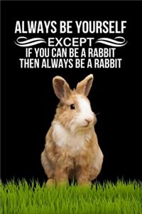 Always Be Yourself Except If You Can Be A Rabbit Then Always Be A Rabbit