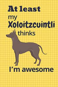 At least My Xoloitzcuintli thinks I'm awesome