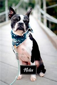 Boston Terrier Dog Pup Puppy Doggie Notebook Bullet Journal Diary Composition Book Notepad - Blue Bandana