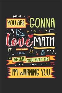 You Are Gonna Love Math After You Meet Me