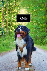 Bernese Mountain Dog Pup Puppy Doggie Notebook Bullet Journal Diary Composition Book Notepad - Standing on Forest Road