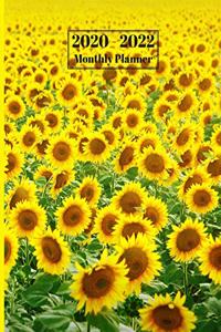2020-2022 Monthly Planner