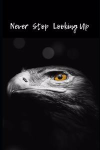 Never Stop Looking Up