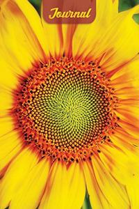 Sunflower Journal
