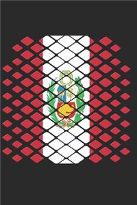 Peru Notebook