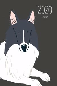 2020 Collie