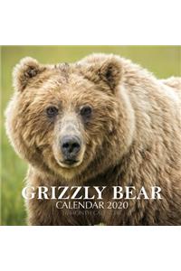 Grizzly Bear Calendar 2020