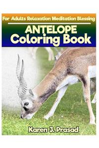 ANTELOPE Coloring book for Adults Relaxation Meditation Blessing
