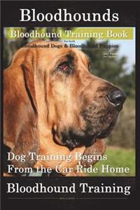 Bloodhounds, Bloodhound Training Book for Both Bloodhound Dogs & Bloodhound Puppies by D!g This Dog Training