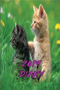 2019 Diary