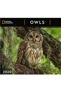 Cal 2020-National Geographic Owls Wall