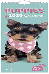 PUPPIES 2020 SLIM CALENDAR STUDIO PETS