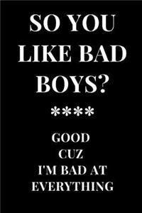 So You Like Bad Boys? Good Cuz I'm Bad at Everything