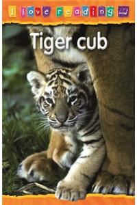 Tiger Cub: Purple Reading Level